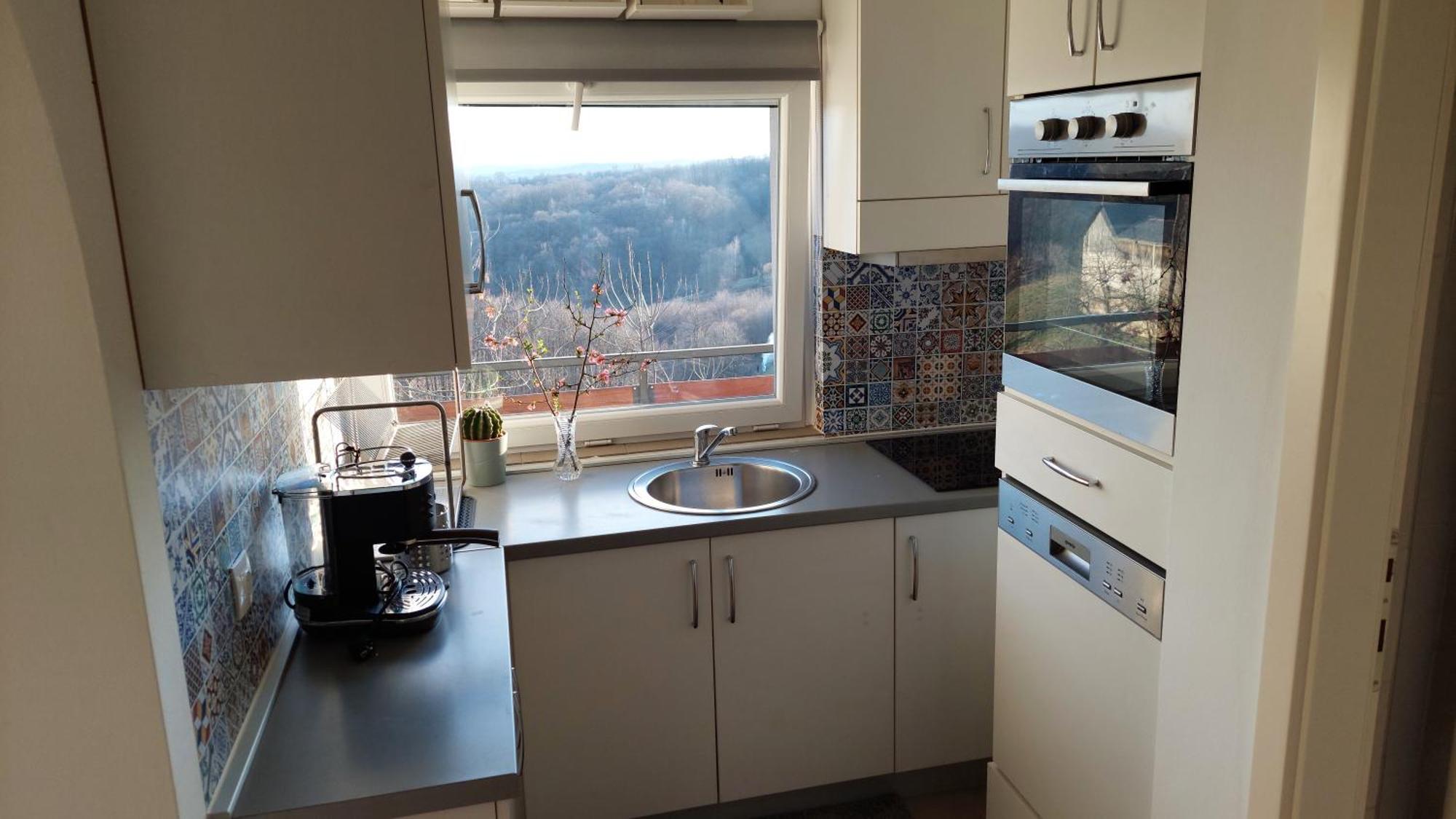 Apartman Masha Карловаць Екстер'єр фото
