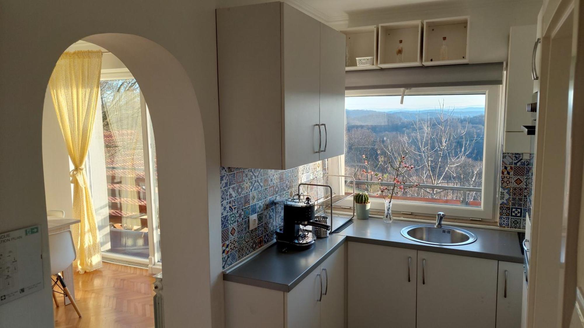 Apartman Masha Карловаць Екстер'єр фото